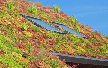 Drummore living roof systems