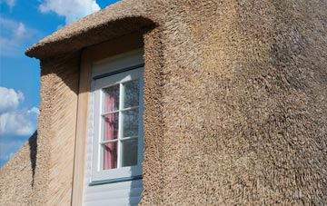 Drummore thatch roof disadvantages